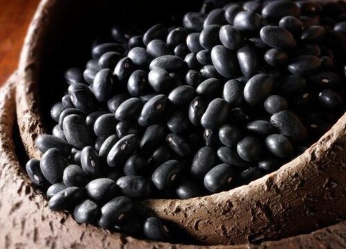 种植黑豆赚钱吗