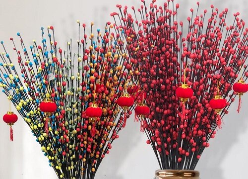 开门见银柳好吗