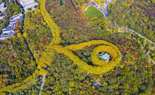 全国幸福指数城市排名