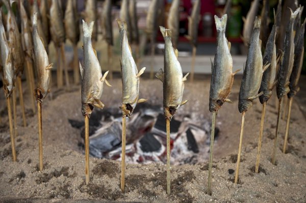 有一种香鱼又叫什么鱼