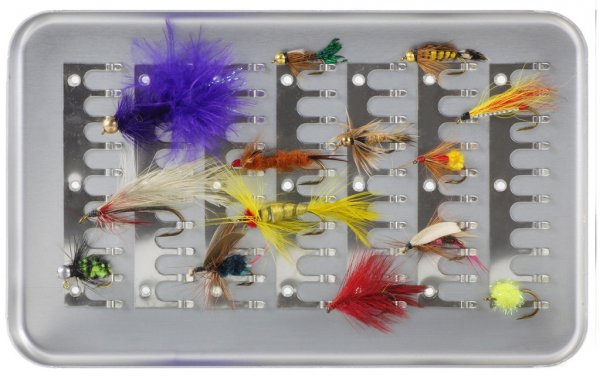 有一种香鱼又叫什么鱼