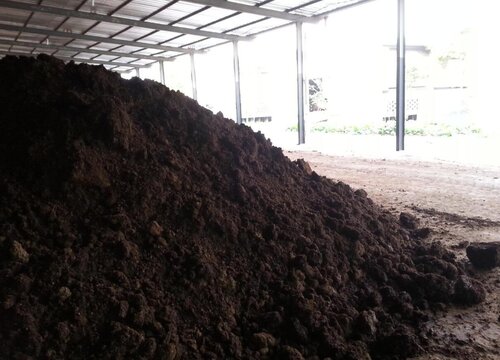 有机肥能做底肥吗