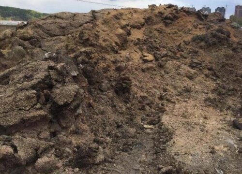 有机肥能做底肥吗