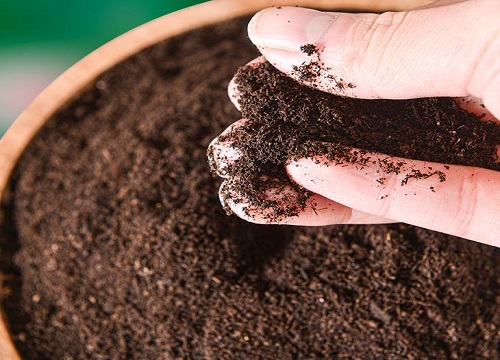 有机肥能做底肥吗