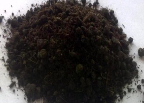 有机肥能做底肥吗