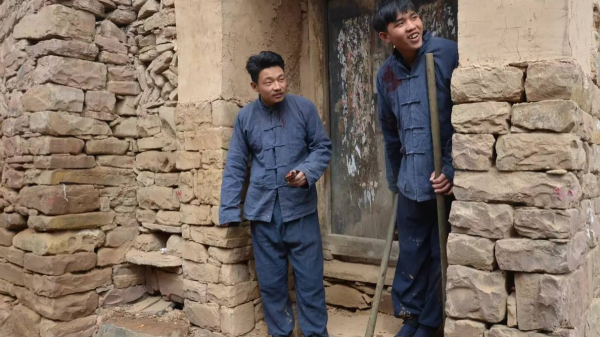 下乡题材电视剧哪个好看