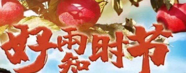 下乡题材电视剧哪个好看