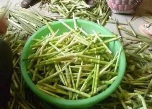 小笋子怎么剥皮又快又方便