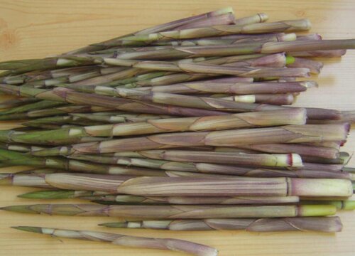 小笋子怎么剥皮又快又方便