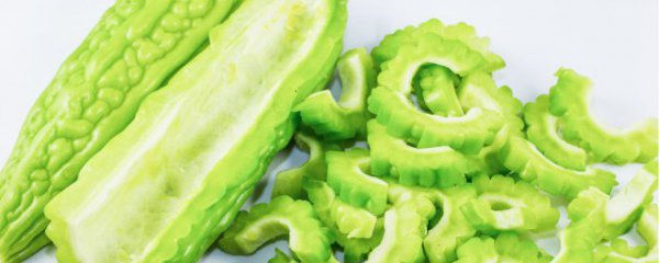 简单种植苦瓜的方法