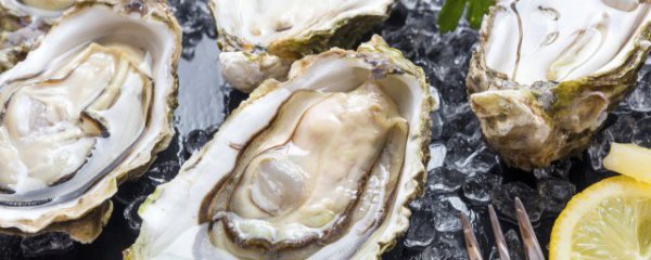生蚝暂时不吃如何保存保鲜