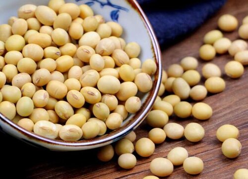 2023至2023大豆价格预测