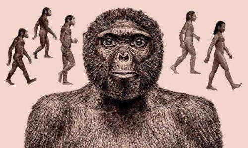 世界上第一个人类是谁