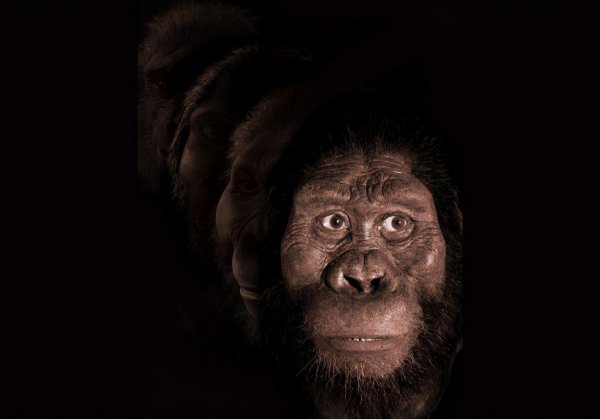 世界上第一个人类是谁