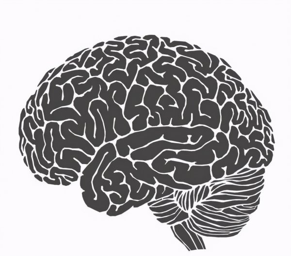 世界上第一个人类是谁