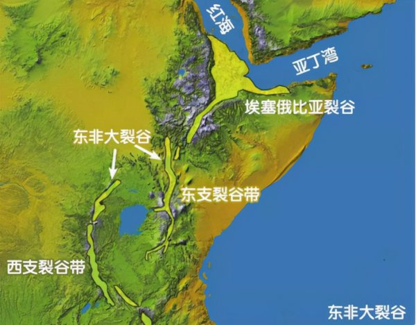 世界上第一个人类是谁