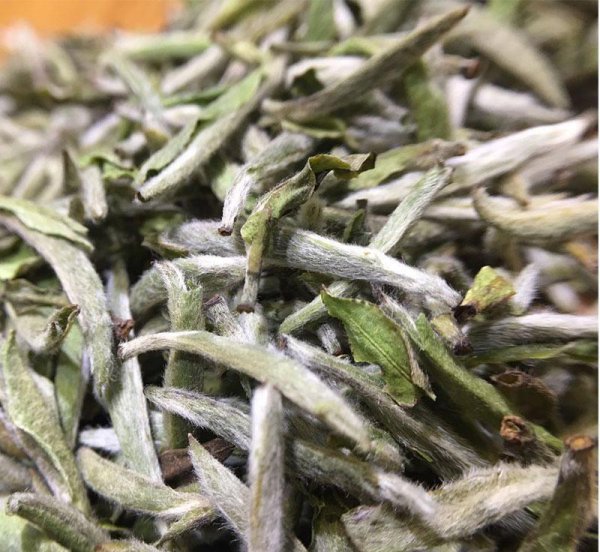 老茶白毫银针什么味道好喝