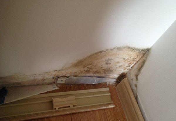 墙壁发霉怎么处理