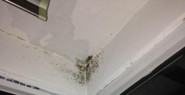 墙壁发霉怎么处理