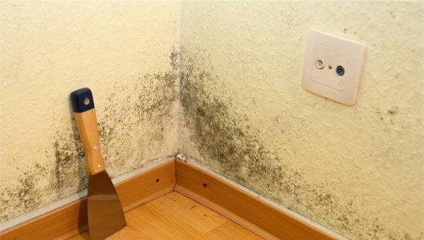 墙壁发霉怎么处理