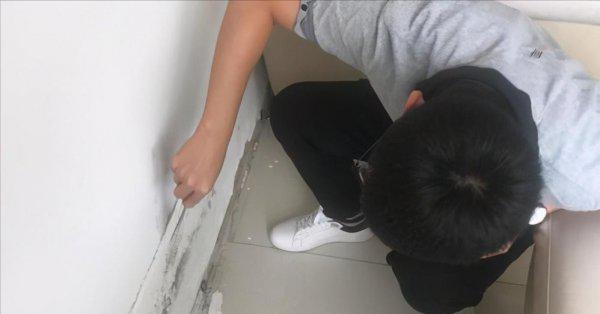 墙壁发霉怎么处理