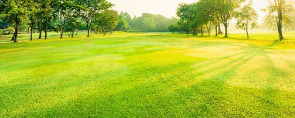 沙田施肥方法和注意事项