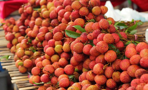 全国荔枝哪里产的最好吃又便宜