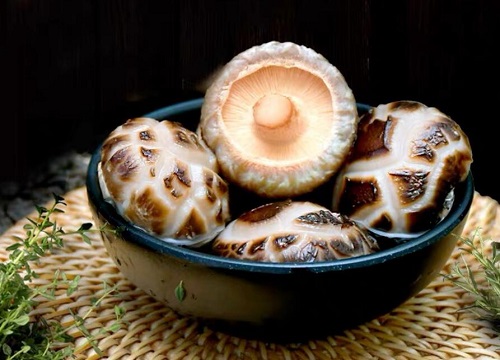 花菇的功效与作用及食用方法