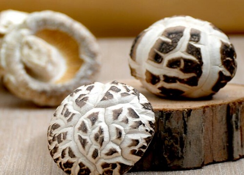 花菇的功效与作用及食用方法