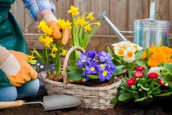 招桃花很灵的老方法简单又灵验