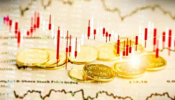 养殖什么鱼利润高