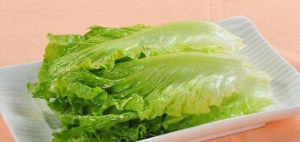 9月份适宜种什么蔬菜