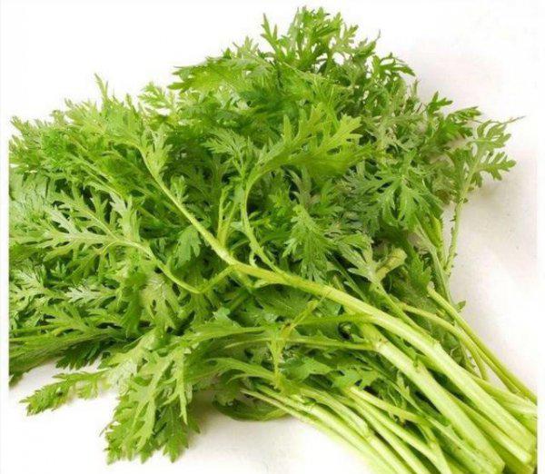 9月份适宜种什么蔬菜