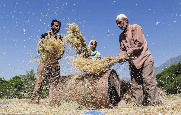 世界各国粮食产量排名