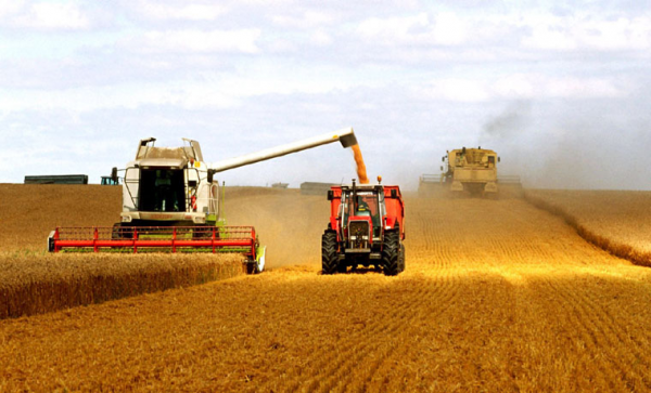 世界各国粮食产量排名