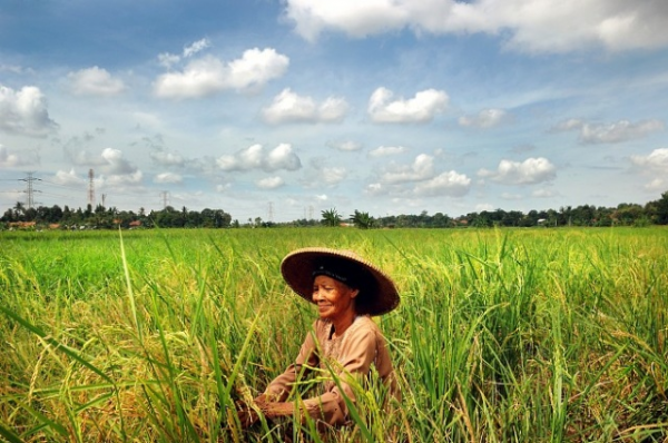 世界各国粮食产量排名