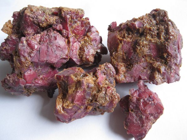 阿魏钓鱼到底有没有用