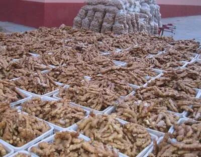 大姜的一年利润及前景分析