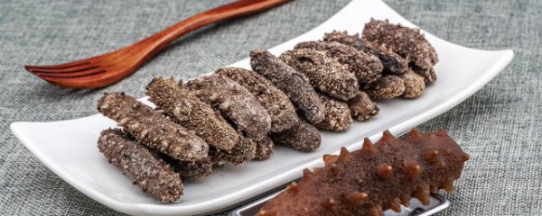 干海参能冷冻保存吗