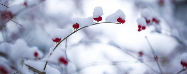 冬天雪后怎么启动车辆