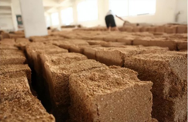 酒曲什么牌子好推荐