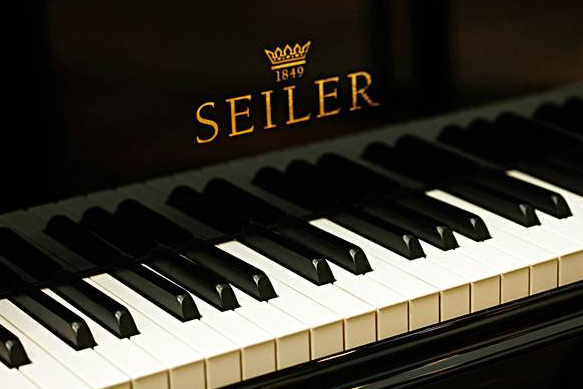 世界十大最难钢琴曲排名公认