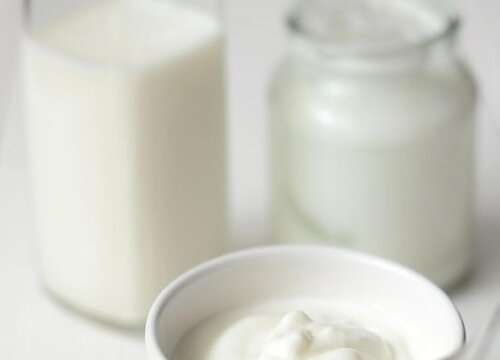 酸奶可以做肥料吗