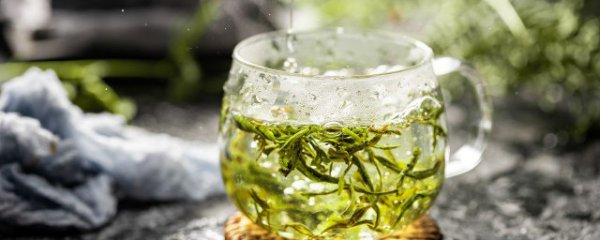 绿茶要怎么样保存