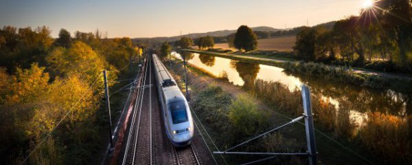 宠物到底能不能带上动车