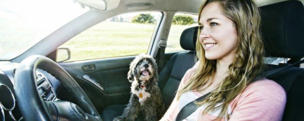 小车玻璃起雾的解决方法