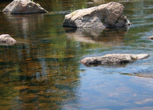 河水可以直接浇花吗