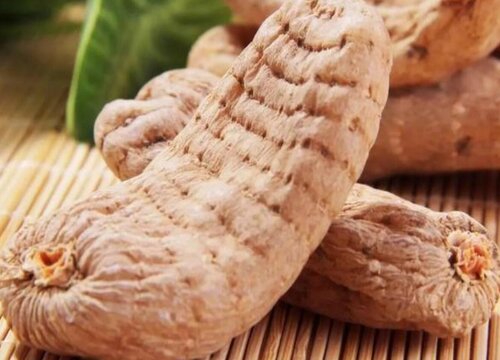 野生天麻什么时候收获