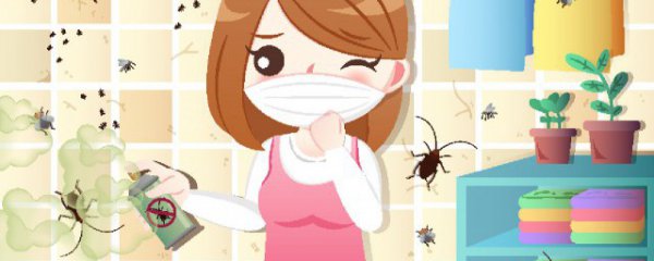 喷了杀虫剂怎么散味