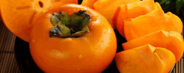 脆柿是寒性的还是热性的